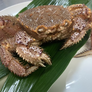 本日のおすすめメニュー「毛蟹の殻造り」@恵比寿の大人の隠れ家　鉄板焼き バンブーグラッシィ(テイクアウト・デリバリーもやってます！)