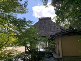 【営業中】我流山荘＠五感で愛媛を堪能出来るお店 大洲炉端 油屋