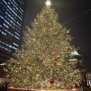 「素敵なクリスマスツリー」 @恵比寿/鉄板焼き/誕生日/ステーキ/神戸牛/バンブー グラッシィ 恵比寿店/