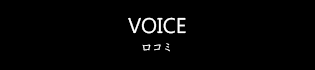 VOICE 口コミ